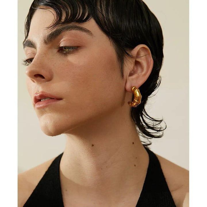 Elara Gold Plated Earrings - Stellise